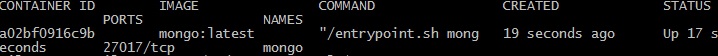 mongo container running